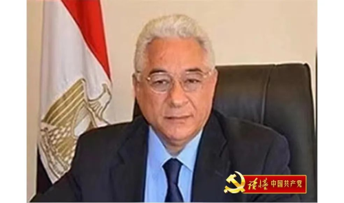 埃及外交部前副部长、前驻华大使、埃及外交事务委员会委员、埃中友协副主席阿里·希夫尼.jpg
