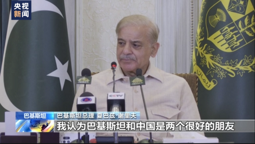 巴基斯坦总理夏巴兹·谢里夫1_缩小大小.png