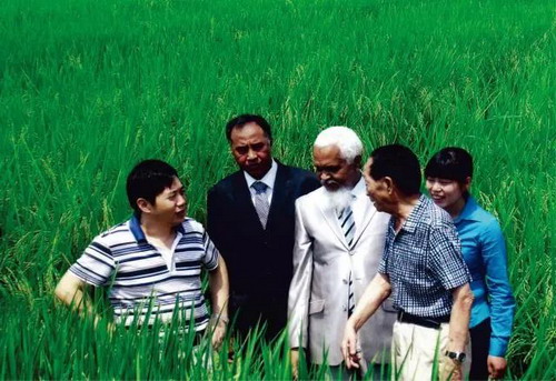 袁隆平与马达加斯加朋友在杂交水稻稻田里_缩小大小.jpg