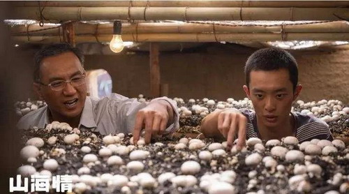 《山海情》剧照_缩小大小.jpg
