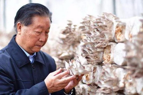 林占熺教授_缩小大小.jpg