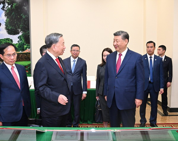 习近平同越共中央总书记苏林举行会谈5_缩小大小.jpeg