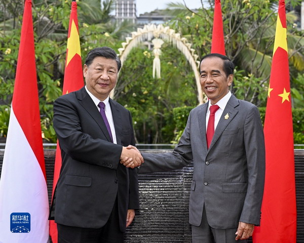 习近平同印尼总统佐科举行会谈1_缩小大小.jpg