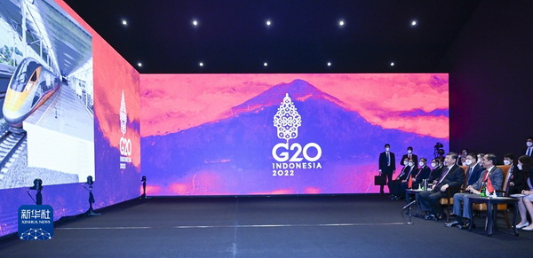 习近平同印尼总统佐科举行会谈3_缩小大小.jpg